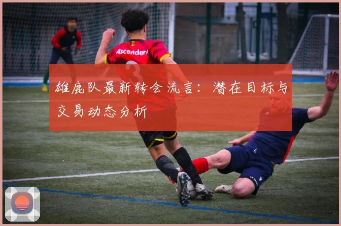 雄鹿队最新转会流言:潜在目标与交易动态分析